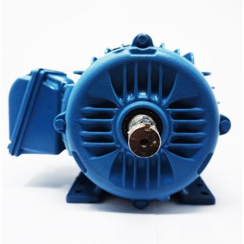 Motor bifásico 7.5 Hp Weg